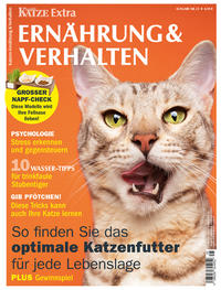 Katzen Ernährung & Verhalten