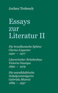 Essays zur Literatur II