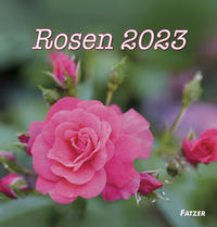 Rosen 2023