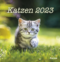 Katzen 2023