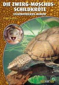 Die Zwerg-Moschusschildkröte
