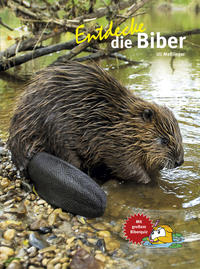 Cover-Abbildung für Entdecke die Biber (Hardcover) (99999---978-3-86659-395-4)