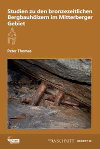 Studien zu den bronzezeitlichen Bergbauhölzern im Mitterberger Gebiet