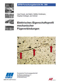 Elektrisches Eigenschaftsprofil umformtechnischer Fügeverbindungen