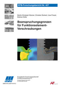 Beanspruchungsgrenzen für Funktionselement-Verschraubungen