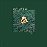 Taj Forer - Stone by Stone