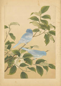 Statements on Appropriation