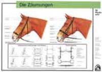 Die Zäumungen