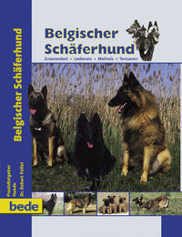 Belgischer Schäferhund