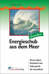 Energieschub aus dem Meer