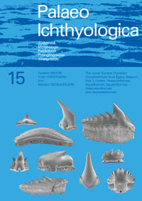The Lower Eocene (Ypresian) Chondrichthyes from Egem, Belgium