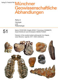 Revision of the smaller-bodied anthropoids from Napak, early Miocene, Uganda: 2011-2020 collections