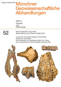 A new look at Eurasian Neogene Pliohyracidae (Afrotheria, Hyracoidea) with descriptions of unpublished fossils from Turkey and a reassessment of the Montpellier hyracoid molar