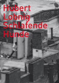 Schlafende Hunde