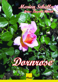 Dornrose