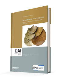 Hellenistische Häuser in Lousoi.