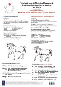 Feuer Element 2 - Kreislauf-Sexus Meridian und San Jiao Meridian