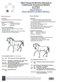 Wasser Element - Blasen Meridian und Nieren Meridian