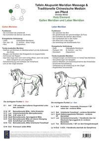 Holz Element - Gallen Meridian und Leber Meridian