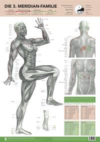 Die 3. Meridian-Familie