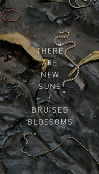 There are new suns / Bruised blossoms