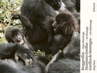 Berggorillas. Gorilles de montagne. Mountain Gorillas