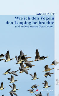 Wie ich den Vögeln den Looping beibrachte