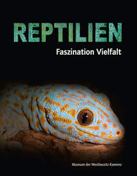 Reptilien - Faszination Vielfalt