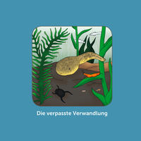 Die verpasste Verwandlung