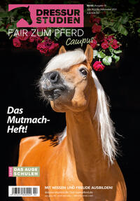 dressur-Studien | Fair zum Pferd