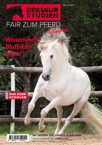Dressur-Studien | Fair zum Pferd