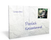 Postfach: Katzenhimmel