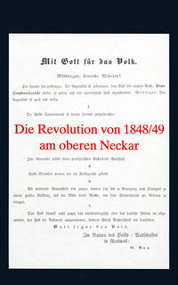 Die Revolution von 1848/49 am oberen Neckar
