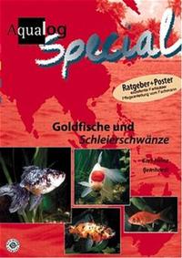 Goldfische und Schleierschwänze