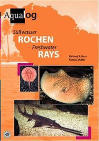 Süsswasser Rochen /Freshwater Rays