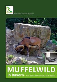 Muffelwild in Bayern