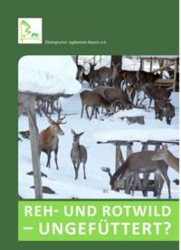 Reh- und Rotwild ungefüttert?