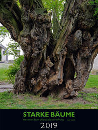 Starke Bäume 2019