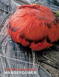 Christiane Möbus - Wanderdünen