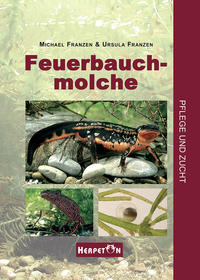 Feuerbauchmolche