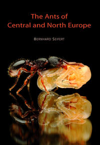 The Ants of Central and North Europe