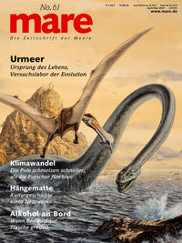 mare - Die Zeitschrift der Meere / No. 61 / Urmeer