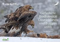 Gefiederte Biodiversität Deutschlands und Europas – wildlife