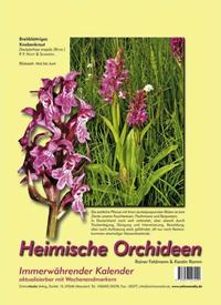 Heimische Orchideen