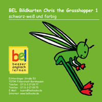 Learning English with Chris the Grasshopper - Bildkarten CD 1