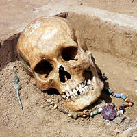 Merowinger in Pflaumheim und Wenigumstadt