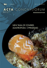 New Taxa of Cowries (Gastopoda: Cypraeidae)