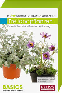 Freilandpflanzen für Beete, Balkon- und Terrassenbepflanzung
