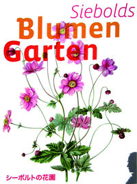 Siebolds Blumengarten