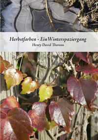 Herbstfarben・Ein Winterspaziergang